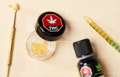 Cannabis Extracts vs. Concentrates: What’s the Difference?