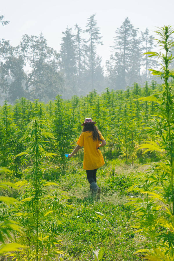 Living Soil Organics