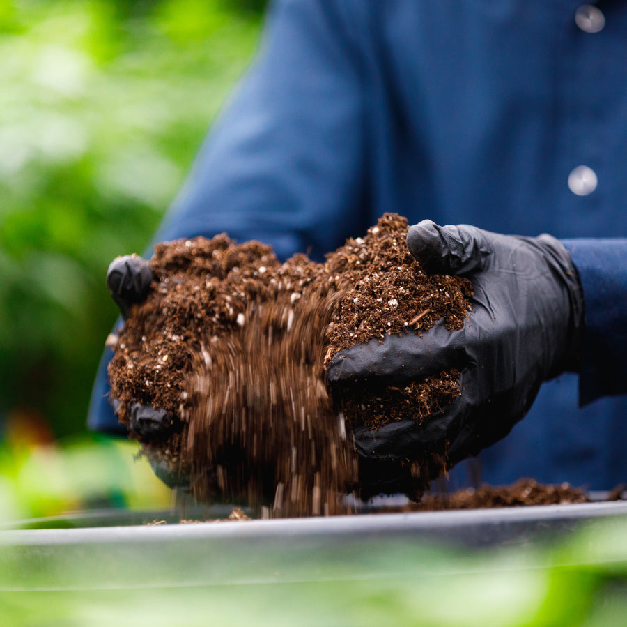 Hand-mixed Living Soil