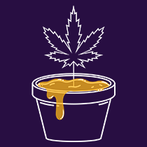 Always Full-Nug Run