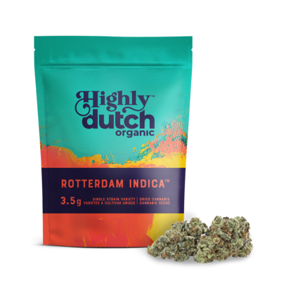 Rotterdam Indica
