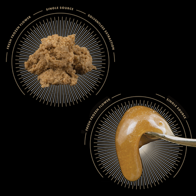 Shop Top Leaf concentrates (coming soon)