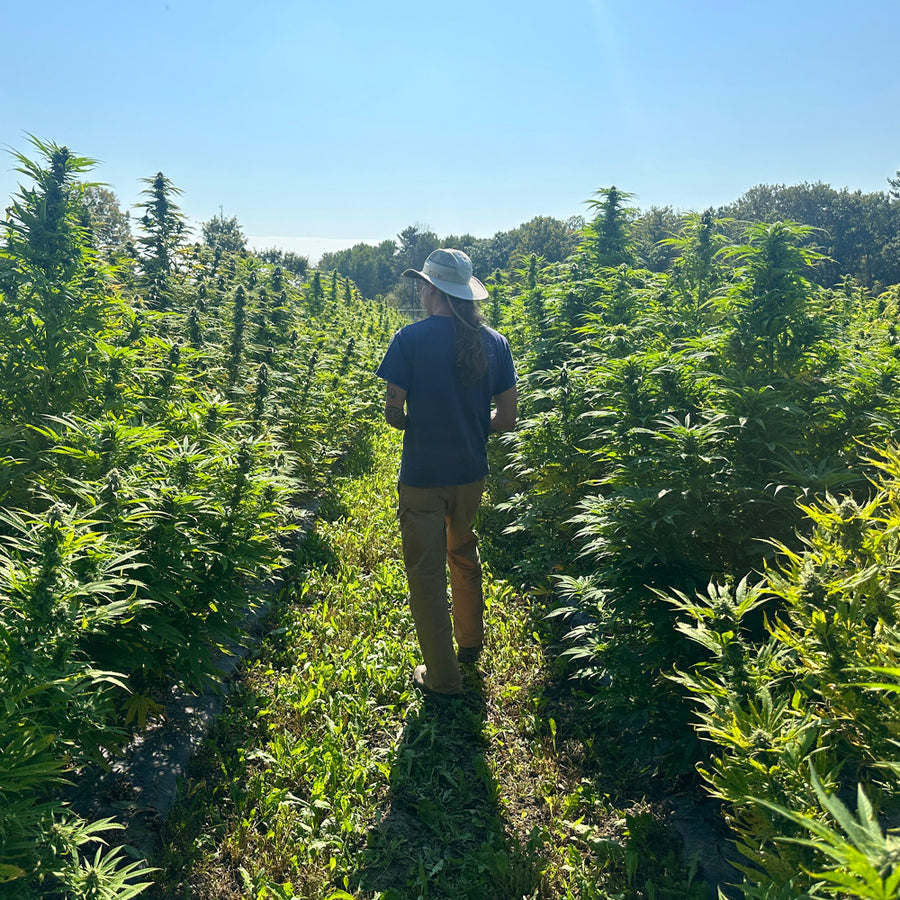 Sustainable Growing Methods