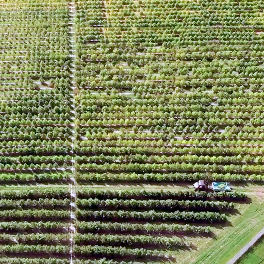 Sungrown Outdoor Farming