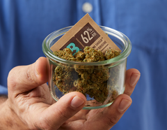 Comment bien conserver le cannabis