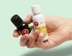 What Is Cannabis Oil?