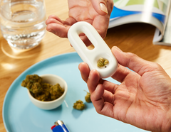 The Effect of Cannabis on the Lungs