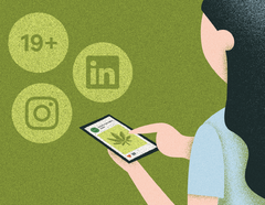 Get More OCS Cannabis Content on Instagram and LinkedIn