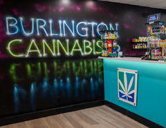 Magasin en vedette : Burlington Cannabis Co.