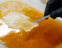 Ontario Cannabis Fieldnotes: How Heritage turns cannabis into liquid diamonds