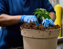 2023 Social Impact Fund: Partners Driving Change