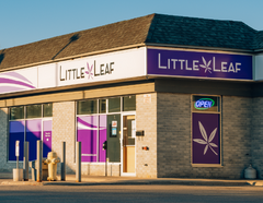 Magasin en vedette : Little Leaf Cannabis Co.