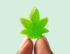 Consuming Cannabis: Ingestion