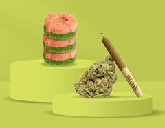 Nouveaux produits à base de cannabis à découvrir dès avril 2026