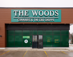Magasin en vedette : The Woods Aurora