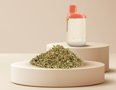 De nouveaux produits à base de cannabis à découvrir dès février 2026