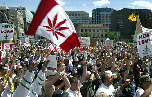 6 Game Changing Moments in Cannabis History that Every Canadian Should Know