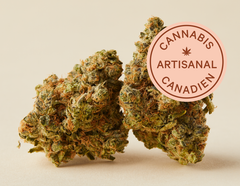 Demandez à un Bud : Pourquoi craft — quelle est la différence?