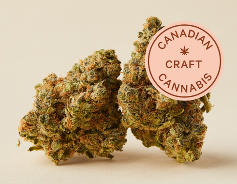 Ask a Bud: Why Craft — What’s the Difference?