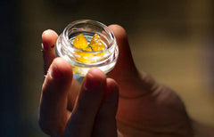 Puissance des concentrés de cannabis