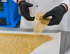 Ontario Cannabis Fieldnotes: How are the concentrates shatter and live resin made?