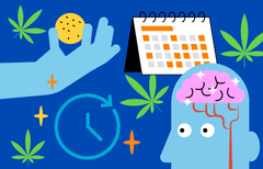 Short- and Long-Term Health Effects of Cannabis Use