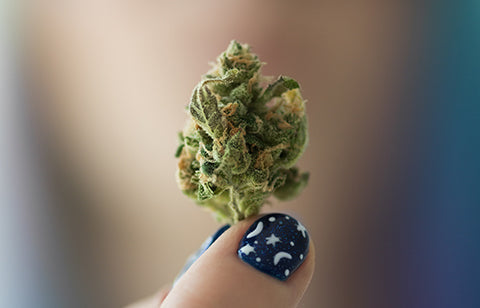 Cannabis and the Developing Brain