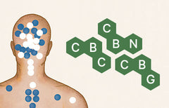 Quels sont les cannabinoïdes mineurs? CBN, CGB, CBC et THCV