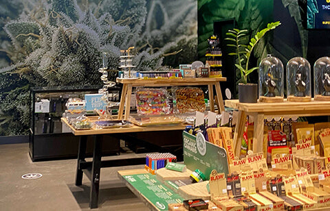 How Three Authorized Cannabis Retailers Give Back to Their Communities