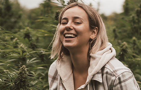 High Stakes, High Spirits: Celebrating Croptober with Licensed Producers