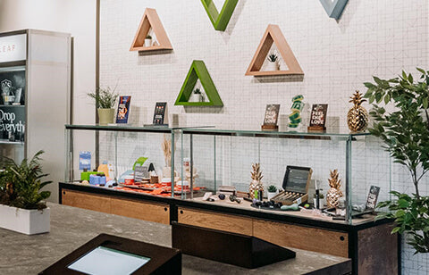 Two Ontario Stores Working to Reduce Their Carbon Footprint