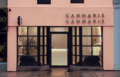 From Eco Warriors to Amnesty Activists, Meet Eight Authorized Cannabis Stores Who Are Going Big on Giving Back