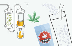 Fabrication de mélanges à boissons infusées au cannabis