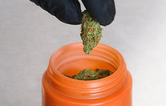 Keeping Flower Fresh