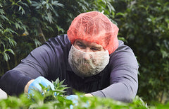 Meet the Masters: Chad Morphy, GreenSeal