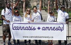 En ligne : Des producteurs agréés pour la cause de l'amnistie liée à la possession de cannabis