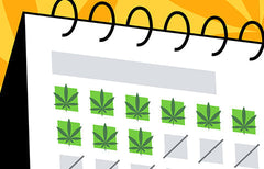 Tolerance Breaks: What Are T-Breaks and Do They Work?