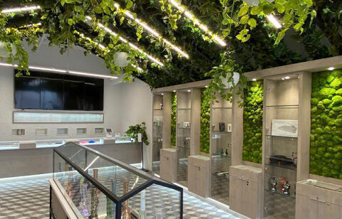 How Four Stores Are Celebrating 50 Years of 420