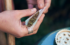 Peut-on consommer trop de cannabis?