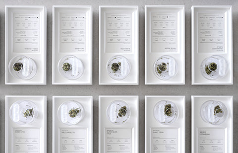 How to Spot an Illegal Cannabis Store