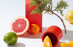 Limonene Terpene: Effects, Flavours and Cannabis Strains