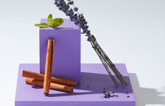 Terpène linalol : Effets, arômes et variétés de cannabis