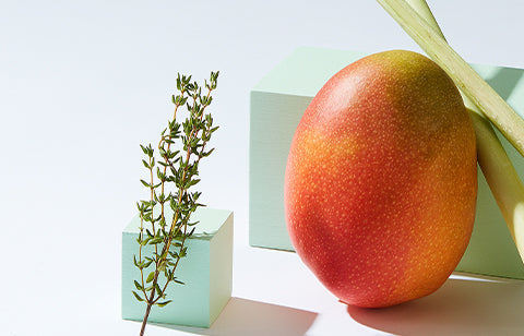 Myrcene Terpene: Effects, Flavours and Cannabis Strains