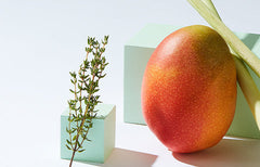 Myrcene Terpene: Effects, Flavours and Cannabis Strains