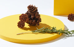 Pinene Terpene: Effects, Flavours and Cannabis Strains