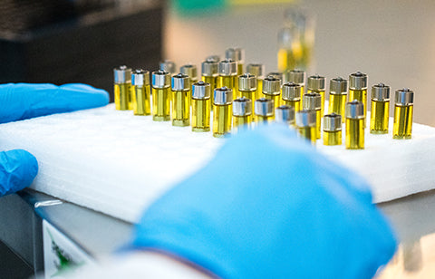 Putting Cannabis 2.0 Products to the Test