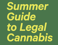 Summer Guide to Legal Cannabis