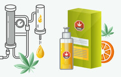 How 510 Thread Vape Cartridges Are Made