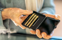 Comment l’âge peut affecter votre expérience du cannabis