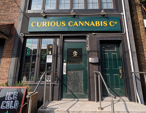 Store Highlight: Curious Cannabis Co.